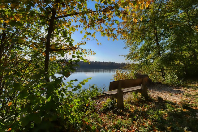 或缺的部分 或缺的部分
