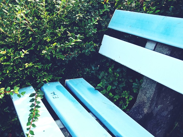 反映出拜仁 反映出拜仁