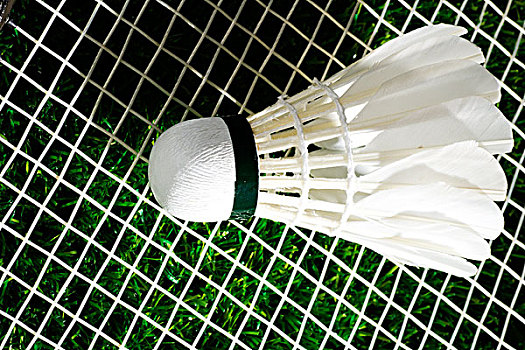 敢于在场上 敢于在场上